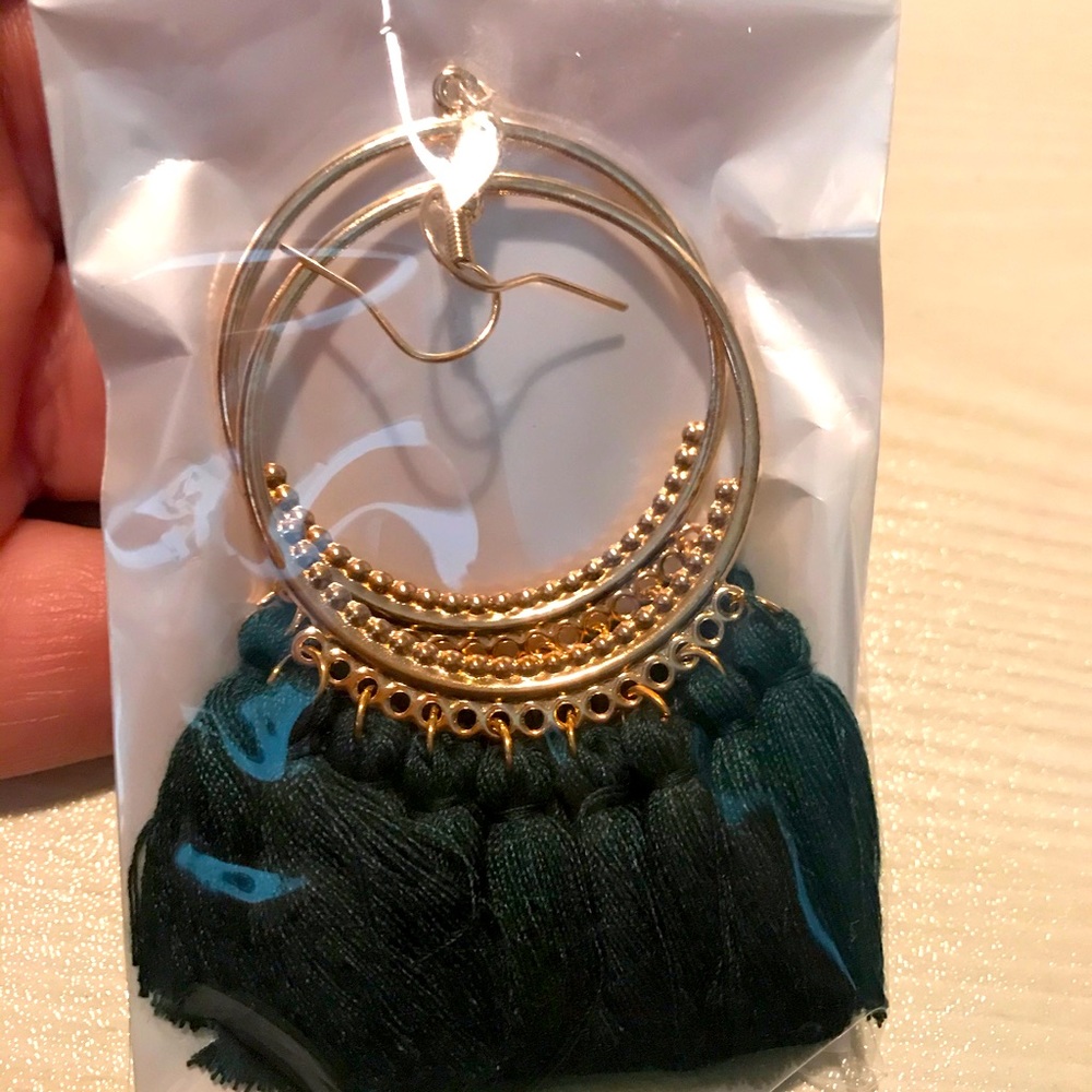 New in pack beautiful tassel earrings.